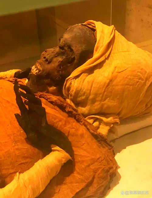 人木乃伊还能出国吗（木乃伊与干尸出国限度及文物保护要点）