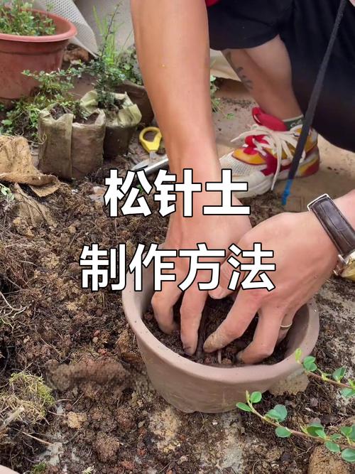 松针营养土的配制方法（自制松针土发酵育苗基质，酸性友好透气配方）