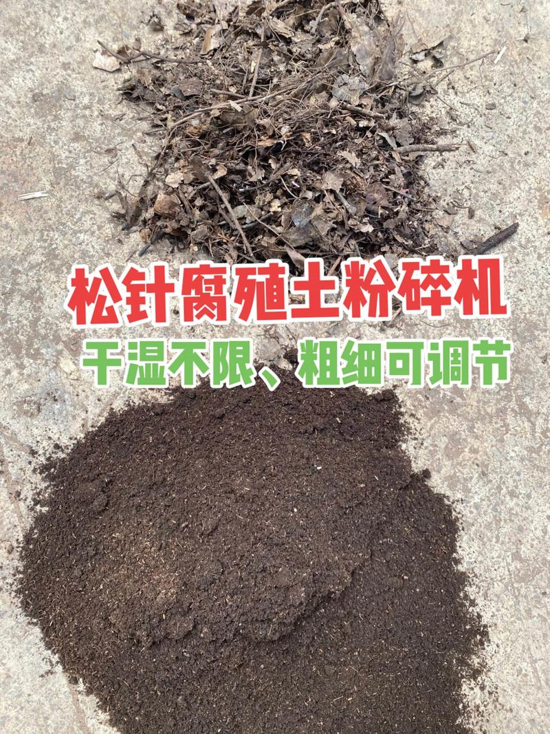 前机盖槽松针全是松针怎么办（前机盖排水槽堵塞？雨后积水与密封降噪快速清理要点）