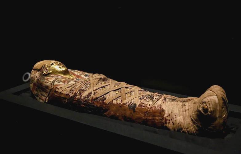 埃及为什么要制作木乃伊（埃及文明与中国文化对话的现代模板）