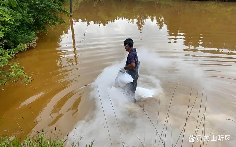鱼塘撒生石灰有什么用（控碱稳水分批投放监测水质）