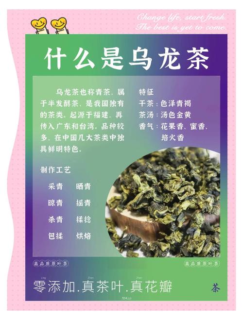 乌龙茶适合什么样的人群（乌龙茶含茶多酚可辅助脂肪分解与提神需规律饮食与运动）
