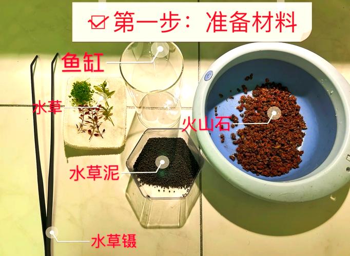 鱼缸开缸养水的正确方法（开缸从源头控污，分层底砂慢放养鱼建菌群）