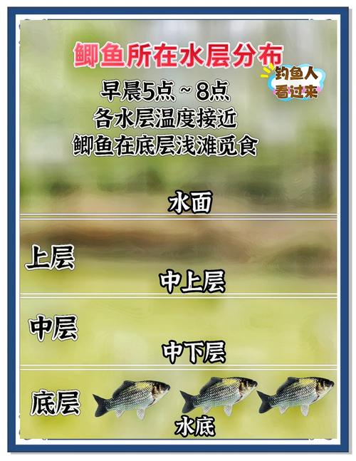 鲫鱼突然停口怎么钓（鲫鱼停口全解水温溶氧水质与应对）