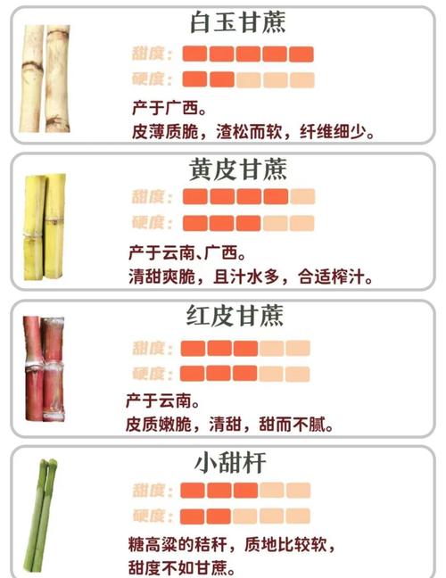 甘蔗属于水果吗(甘蔗不是水果,茎秆才是食用部分)