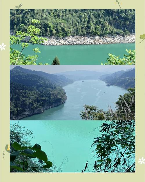 乌江和涪陵哪个是正宗（乌江牌口味差异与选购指南）