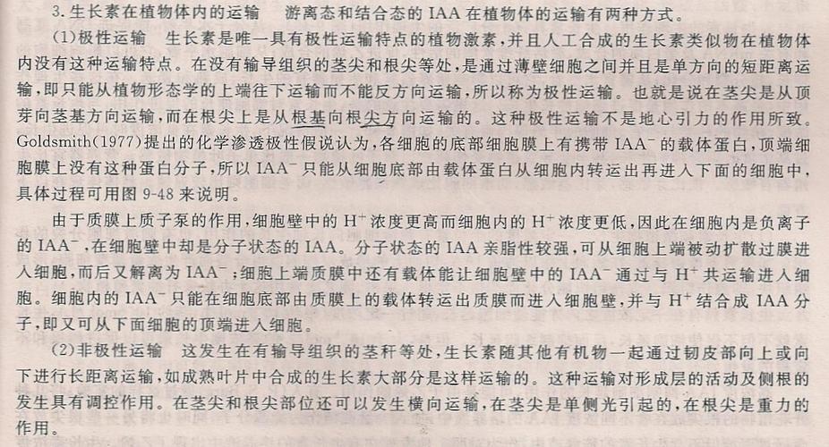 非极性运输是主动运输吗(极性主动与非极性被动协同推动生长)