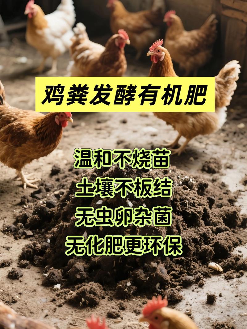 鸟粪可以直接扔花盆里当肥料吗（鸟粪发酵后再用粉末防尘慢灌底肥薄埋夏季控盐幼苗先试）