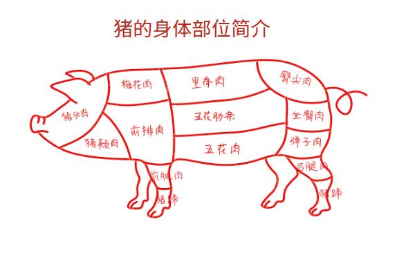 后丘是哪个部位（慢煮出香软，快炒更嫩的猪肉部位）
