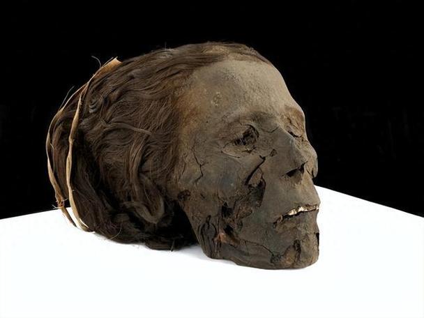 埃及一共有多少木乃伊（阿斯旺新发现36座坟墓约1400具木乃伊揭示社会分层）