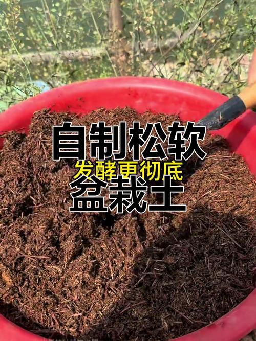 发酵好的松针土可以直接种花吗（混土比例晒干消毒兰花适用）