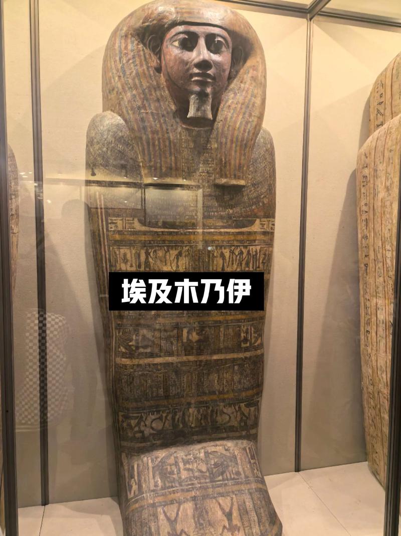 埃及法老木乃伊（图坦卡蒙木乃伊六步防腐与文明对话上海展）