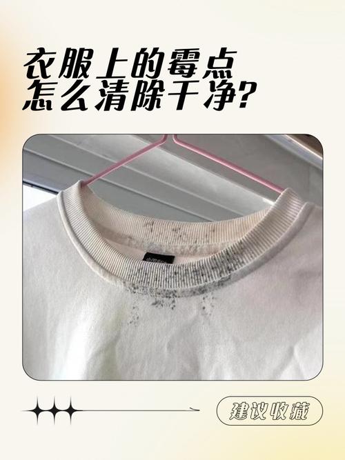 衣服上的霉点怎么去除(衣物发霉怎么办?快速防霉与除霉指南) 衣服上的霉点怎么去除(衣物发霉怎么办?快速防霉与除霉指南)