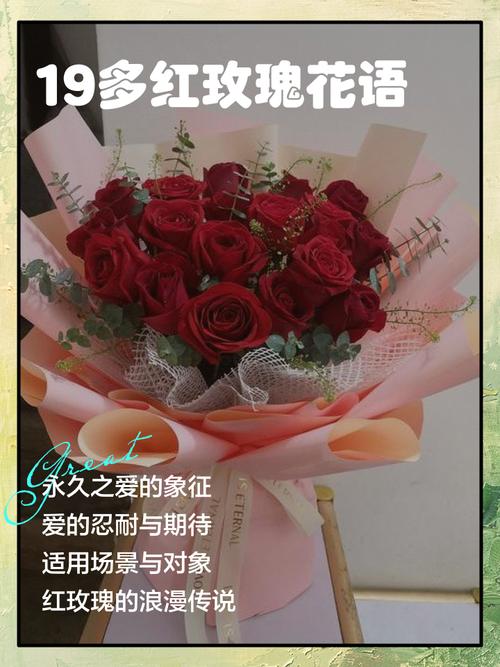 19朵红玫瑰花语是什么（19朵红玫瑰寓意与送花情话要点）