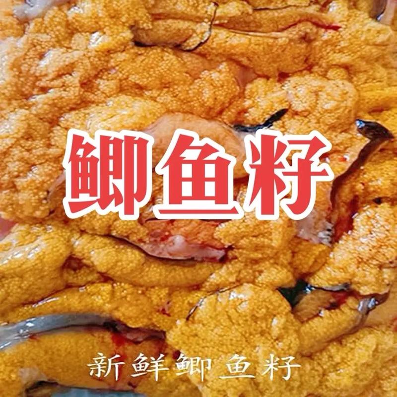 鲫鱼一年甩几次籽（春季产卵体外受精与孵化条件）