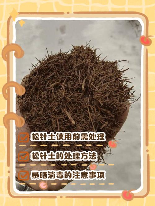 松针配土最佳方法（自制松针土配方透气控酸适合杜鹃蓝莓等植物）