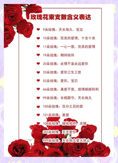 15朵玫瑰代表什么（专属你跨文化解读）