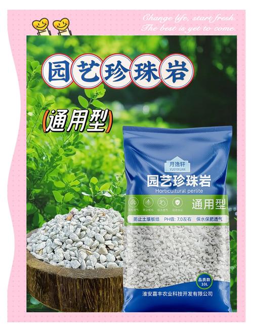 珍珠岩种花的正确方法（珍珠岩用法透气排水要点与扦插混栽配比）