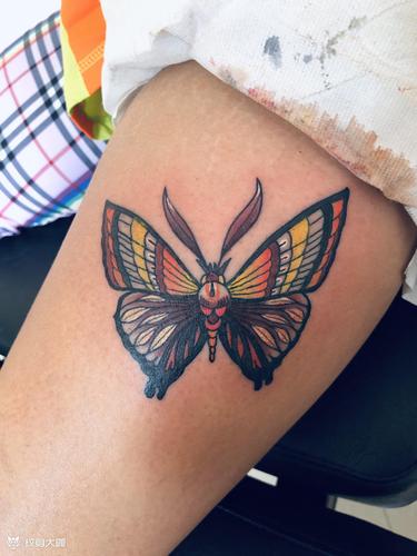 BB上面纹蝴蝶的人多吗(外阴形态多样,倡导健康尊重与自我接纳) BB上面纹蝴蝶的人多吗(外阴形态多样,倡导健康尊重与自我接纳)