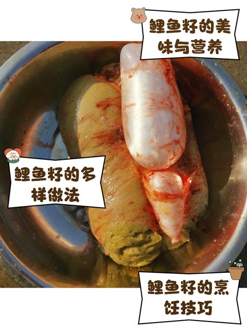 锦鲤甩完籽几天鱼籽会孵化(锦鲤产卵72小时关键期养护要点及控温喂养指南)