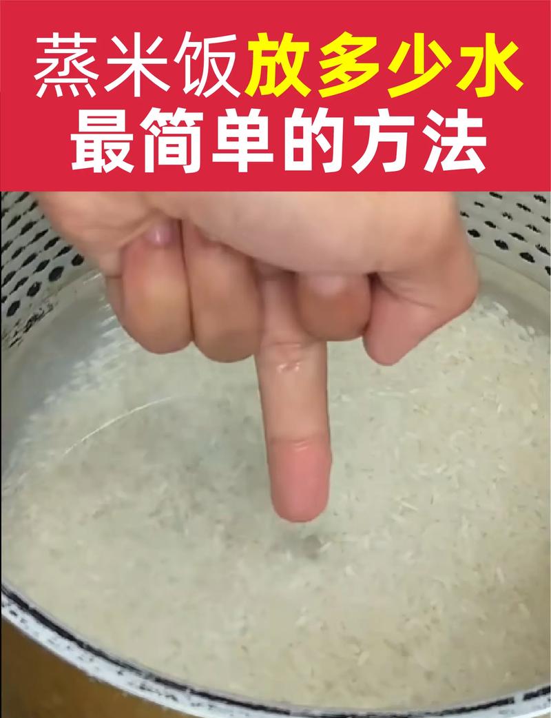 米饭蒸多长时间（米种浸泡水米比与蒸煮时间）