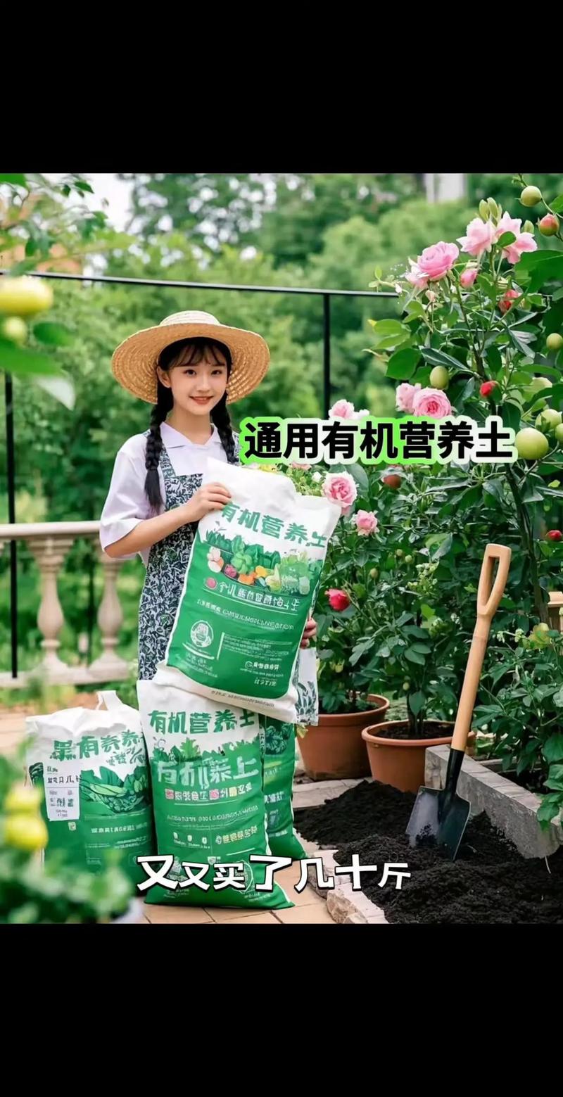 配营养土的人叫什么（家庭盆栽土壤基质配比与养护要点）