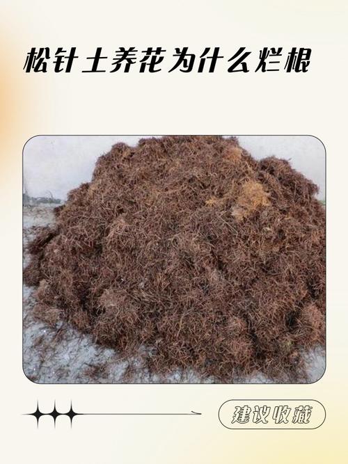 哪些植物不能用松针土（松针土适合哪些植物以及混培要点）