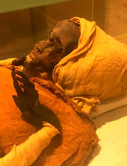 埃及木乃伊是怎么形成的（从古法保存到现代科技解码）