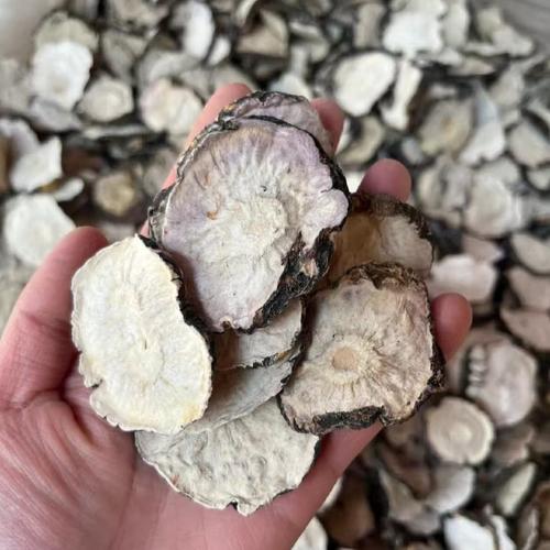 玛咖是什么东西（作为辅助补充，孕产妇与甲状腺病慎用，正规购买）