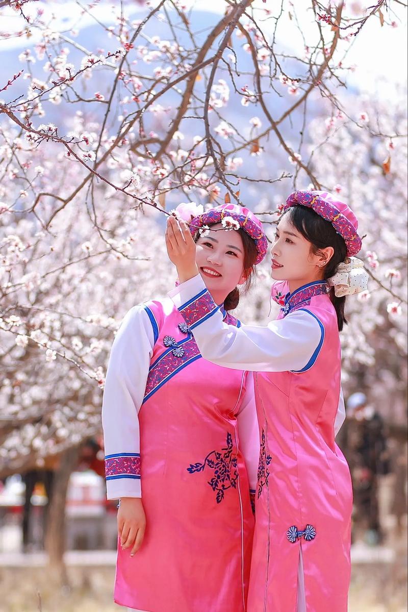 回族和东乡族有关系吗(语言地域文化与身份)