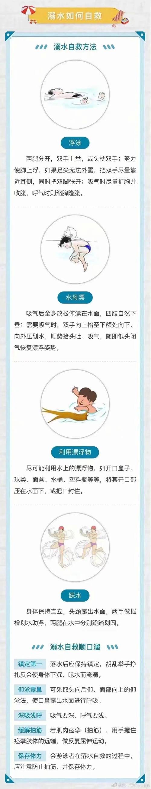 水母奄奄一息怎么抢救（水质控温喂养与记录参数）