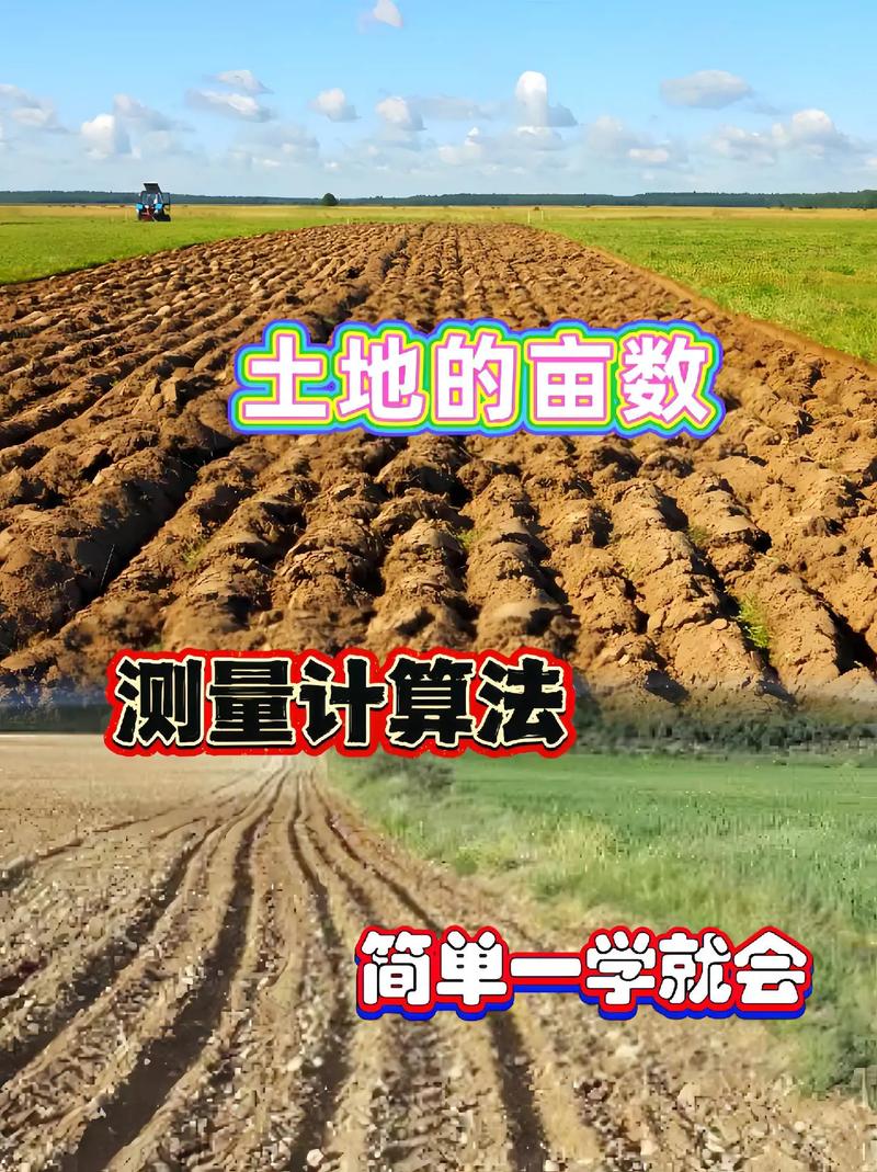 一亩地长宽各多少米（面积换算要点）