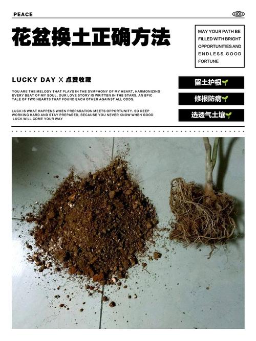 打土净的正确方法(缺水时的清洁与心境重置)