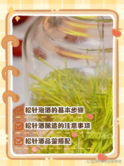 松针泡水喝的正确方法（松针茶选材制法用量要点，安全饮用与真伪辨别指南）