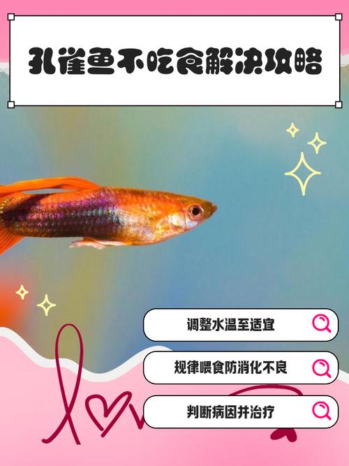 怎么防止凤尾鱼吃小鱼（凤尾鱼产后食崽原因及独立繁育区喂养要点）