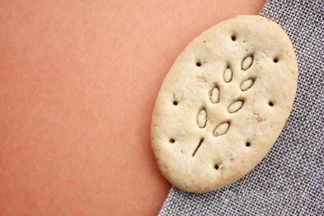 椭圆形的东西有哪些（从餐桌到轨道的线条美）