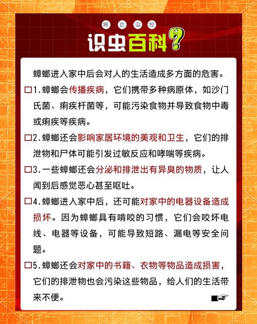 屋里有蟑螂怎么办（综合防护胜过药剂，日常清洁封堵驱蟑螂）