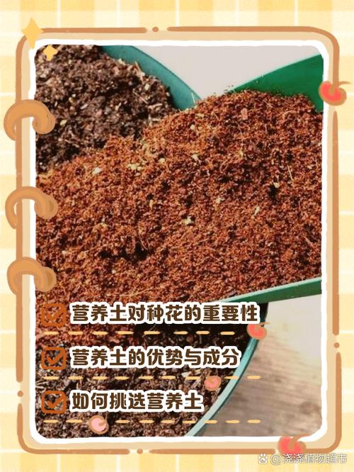 木屑可以直接拌土养花吗（发酵木屑拌土配比211，提升透气保水）