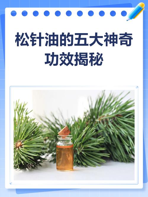 松针油的正确使用方法（抗氧化抗炎提神香气，稀释扩香要点）