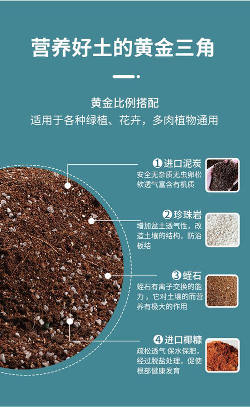 多肉植物营养土配方（透气排水保水）