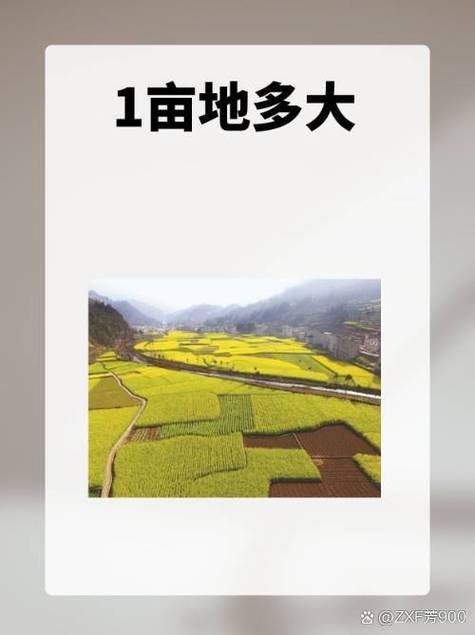 一亩地有多大给个概念（一亩地到底有多少平方米灌溉无人机提升粮食产出与安全）