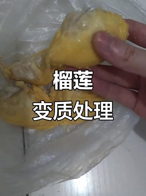 榴莲坏了是什么样的（榴莲变质识别与储存指南）