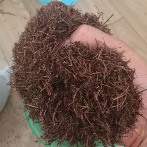 晒干的松针可以拌土种多肉吗（发酵松针土可用作多肉盆景基质）