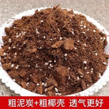 用纯泥炭种月季行吗(泥炭+椰砖椰糠混用,透气保水控酸要点)