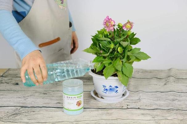 插花营养液的配制方法（125g硫酸钙+12g硫酸亚铁）