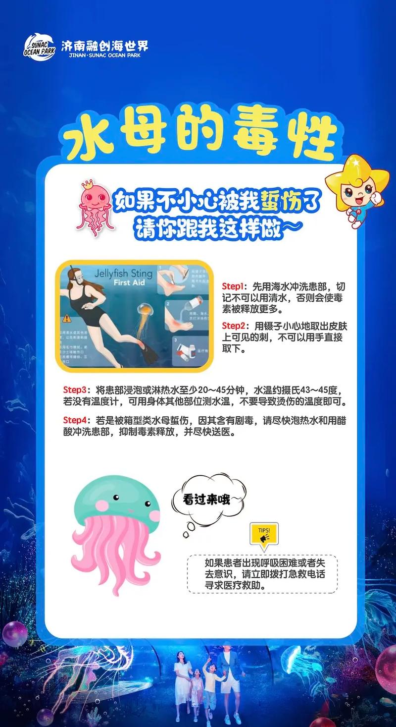 水母会认主人吗（水母没有大脑和固定中枢神经？科学解读与养护要点）