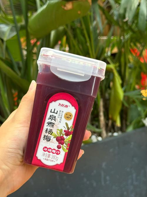 杨梅汁怎么洗得掉(杨梅汁污渍快速清洗方法大全)