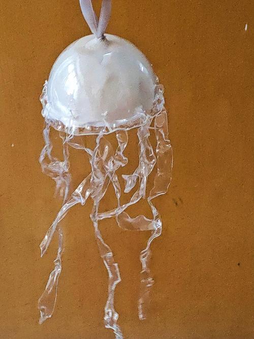 瓶装水母盖子要打开吗（透气盖海月水母开放圆缸）