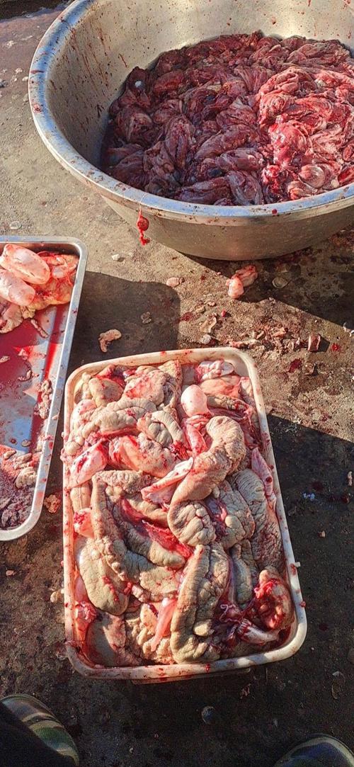 鲤鱼的鱼籽吃了会怎么样（高蛋白高营养，需留意胆固醇与嘌呤，偶食搭配低脂）