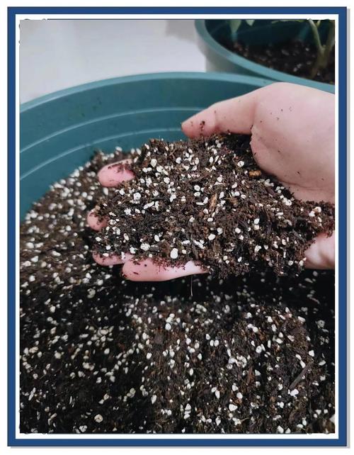 种花土要松吗（避免压实补充堆肥提升透气，春秋最佳）